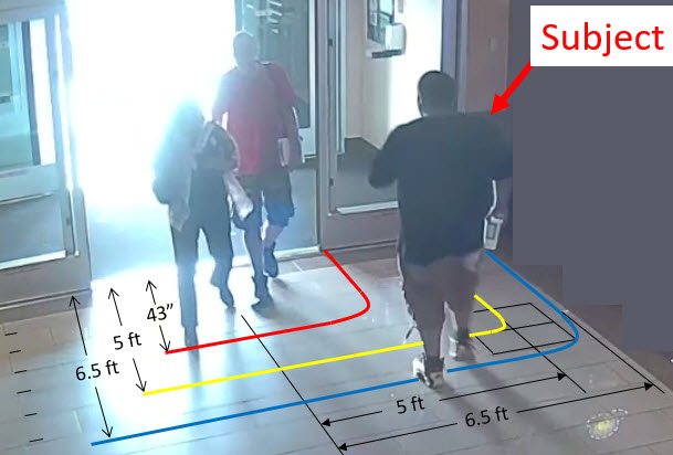 Door activation and safety zones superimposed on video